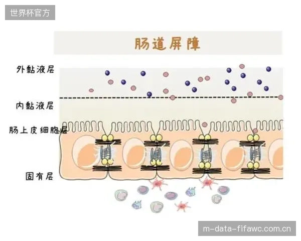 队长戈多伊是防线前的关键屏障，他的状态直接影响防守质量。